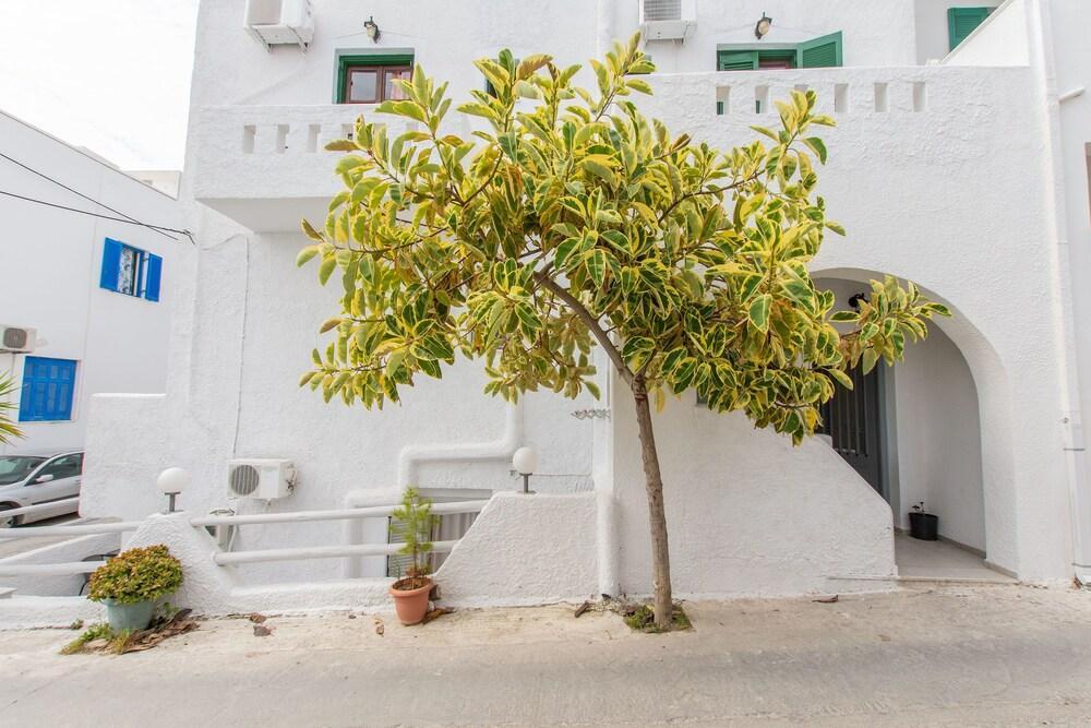 Naxos Enjoy Apartments Naxos City Екстер'єр фото